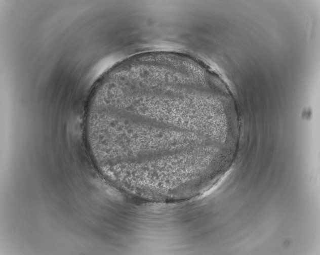 X0000090441163200708102021
