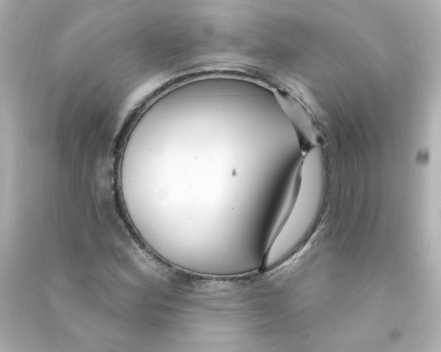 X0000090441164200708102021