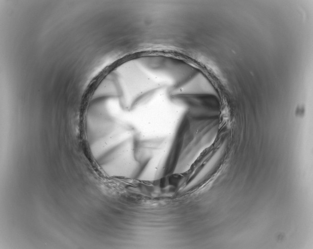 X0000090441165200708102021