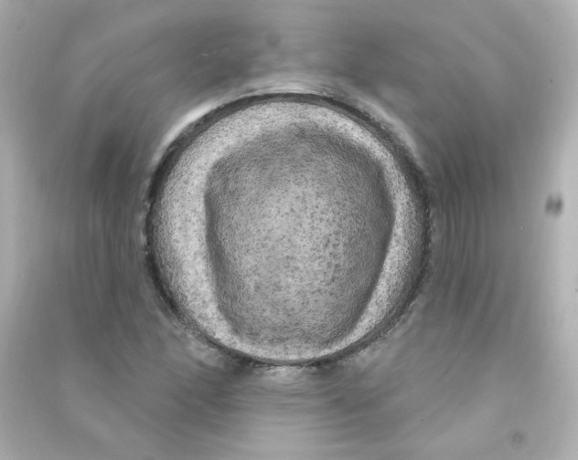 X0000090441166200708102021