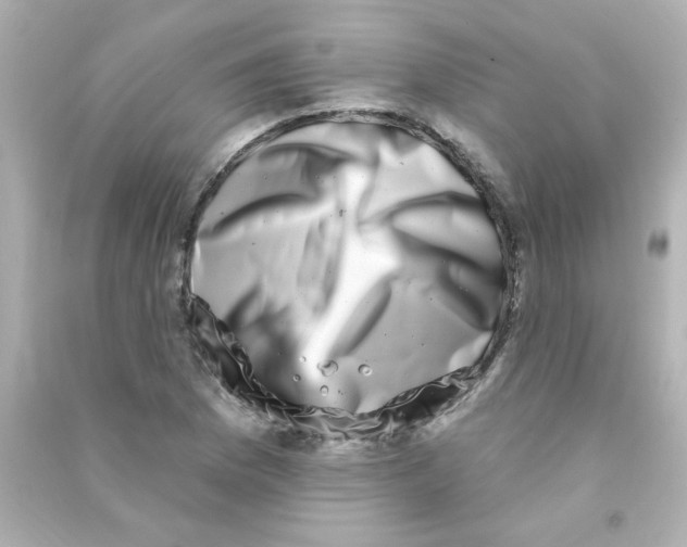 X0000090441169200708102021