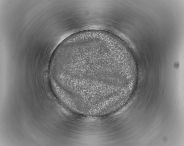 X0000090441170200708102021