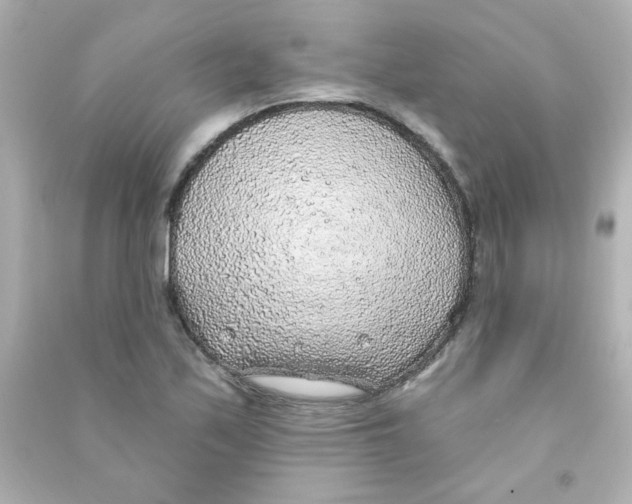 X0000090441171200708102021