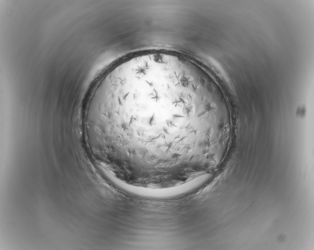X0000090441172200708102021