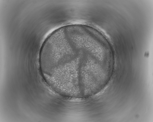 X0000090441174200708102021
