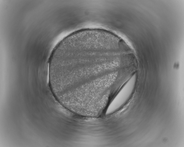 X0000090441175200708102021