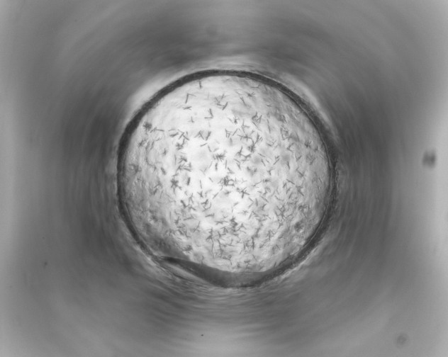X0000090441176200708102021