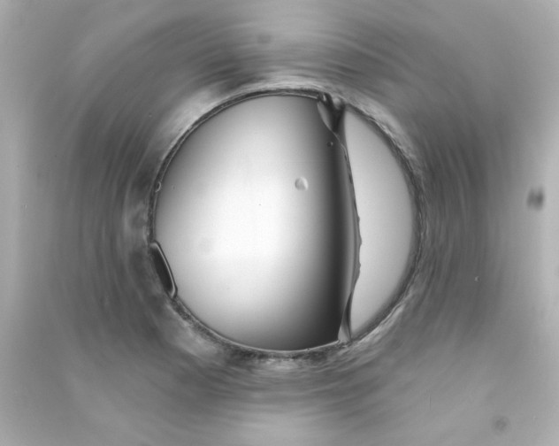 X0000090441177200708102021