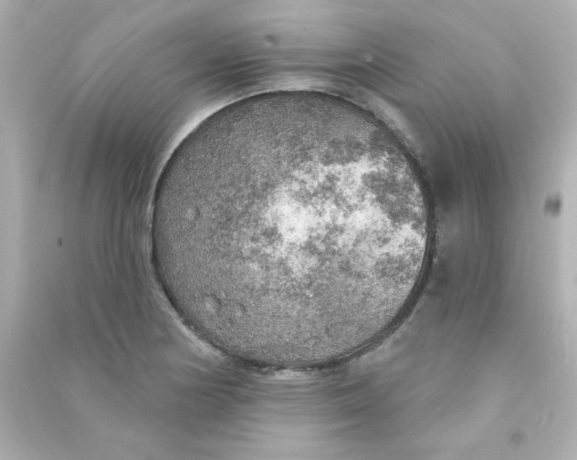 X0000090441178200708102021