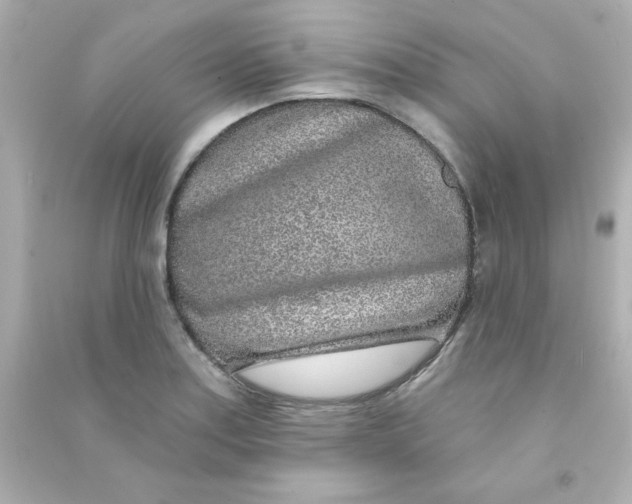 X0000090441179200708102021