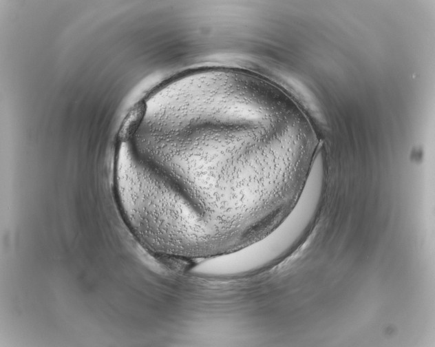 X0000090441180200708102021