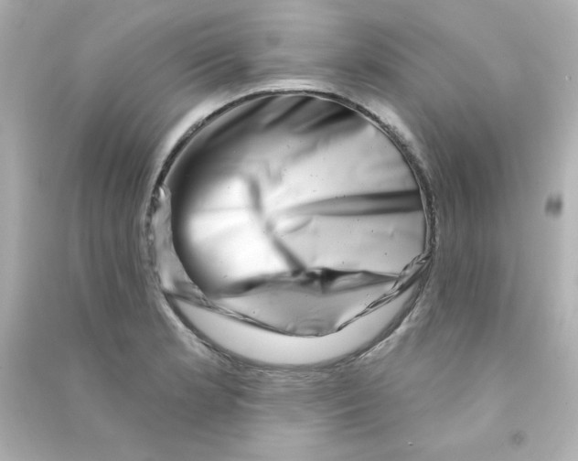 X0000090441181200708102021