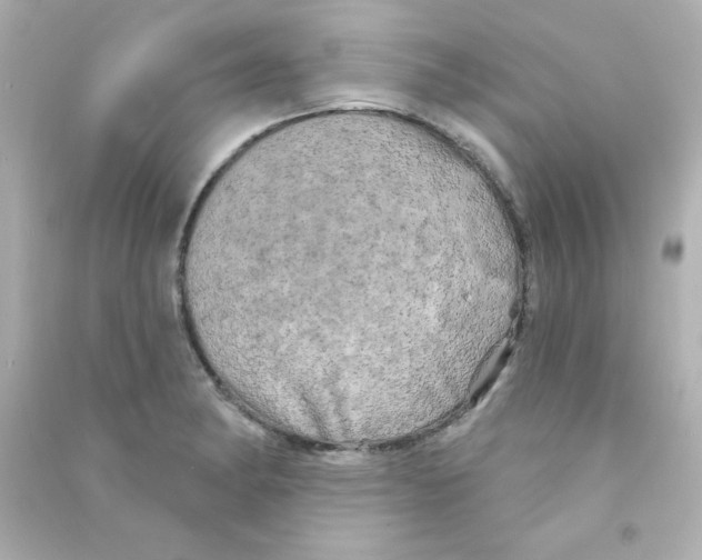 X0000090441182200708102021