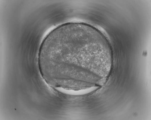 X0000090441183200708102020