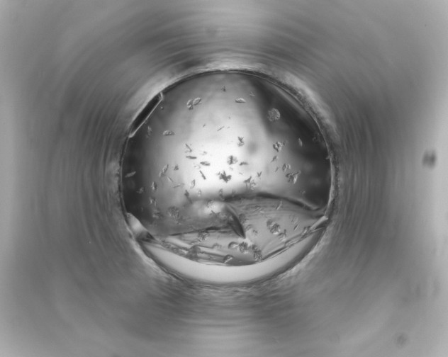 X0000090441185200708102020