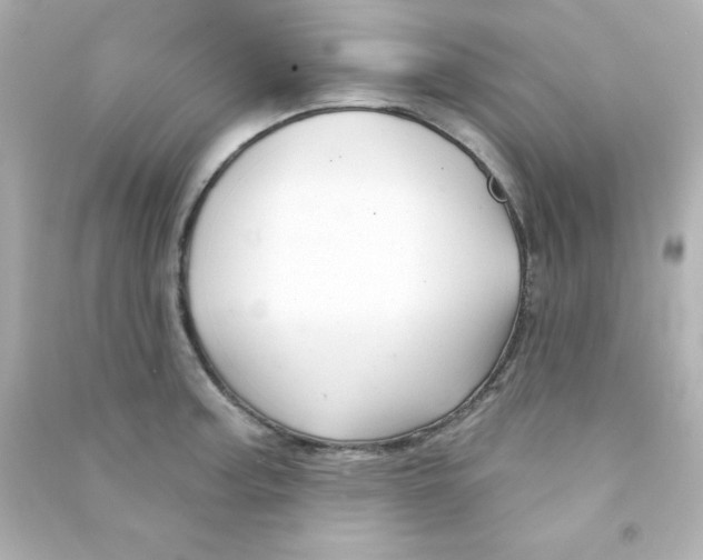 X0000090441187200708102020