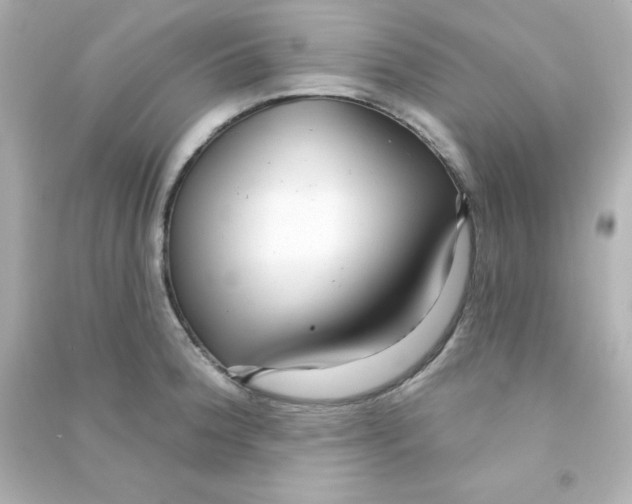 X0000090441188200708102020