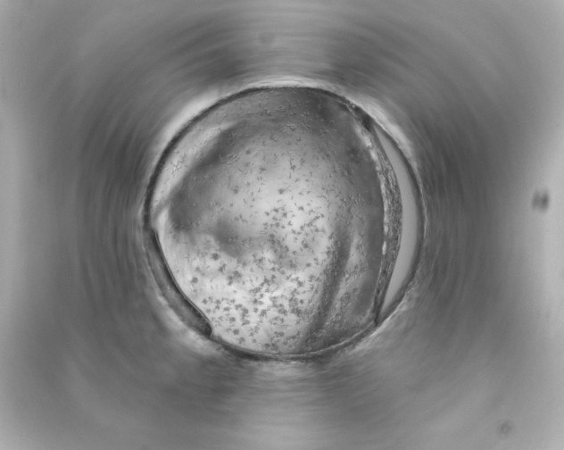 X0000090441189200708102020