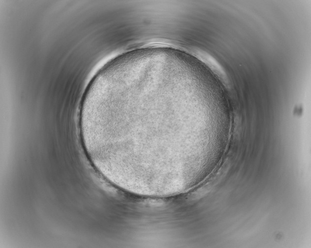 X0000090441190200708102020