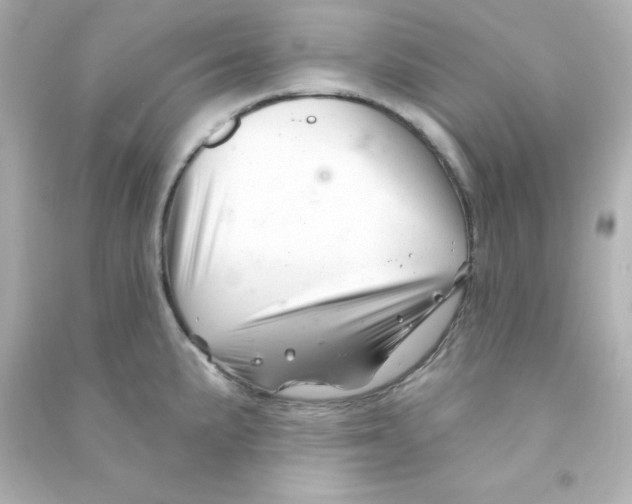 X0000090441191200708102020