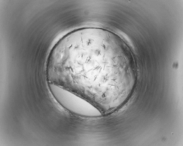 X0000090441192200708102020