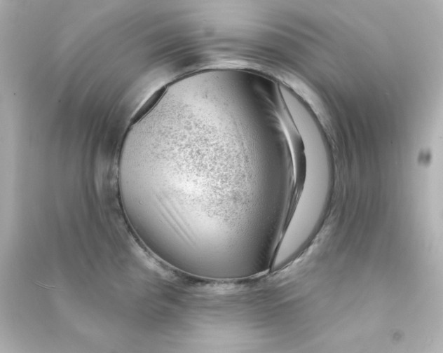 X0000090441193200708102020