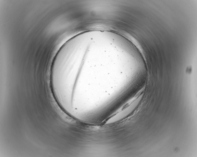 X0000090441195200708102020