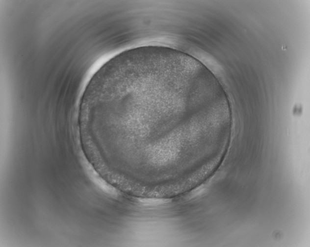 X0000090441200200708102020