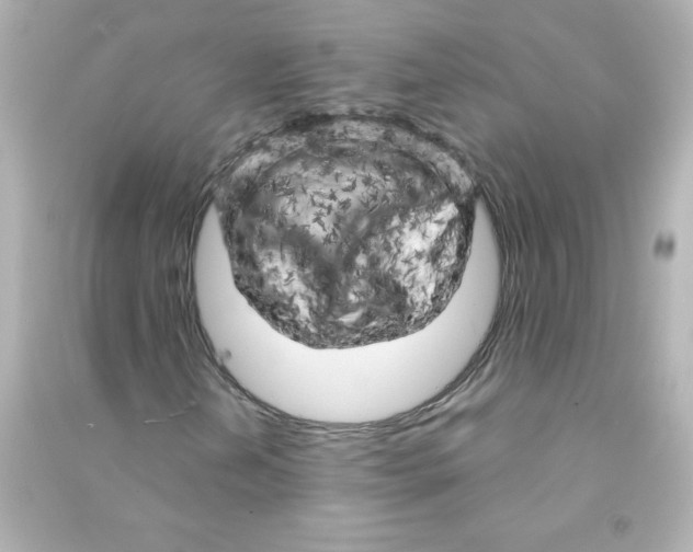 X0000090441202200708102020
