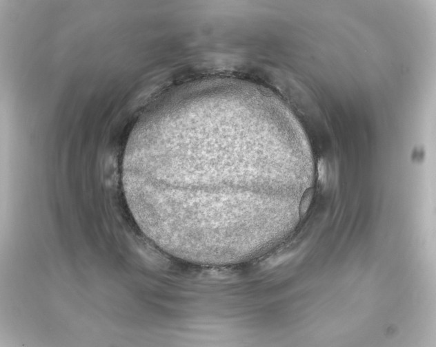 X0000090441203200708102020