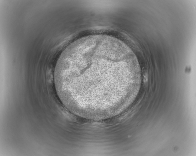 X0000090441204200708102020