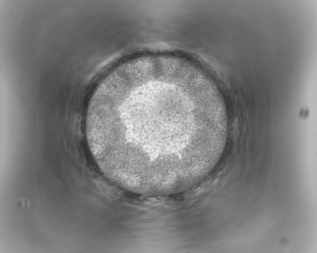 X0000090441205200708102020