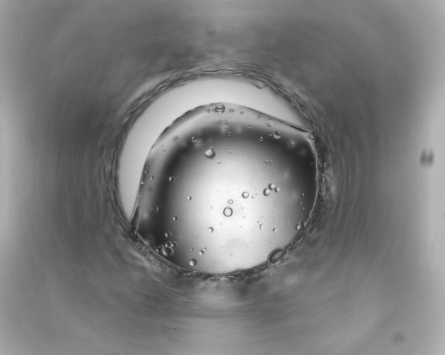 X0000090441206200708102020