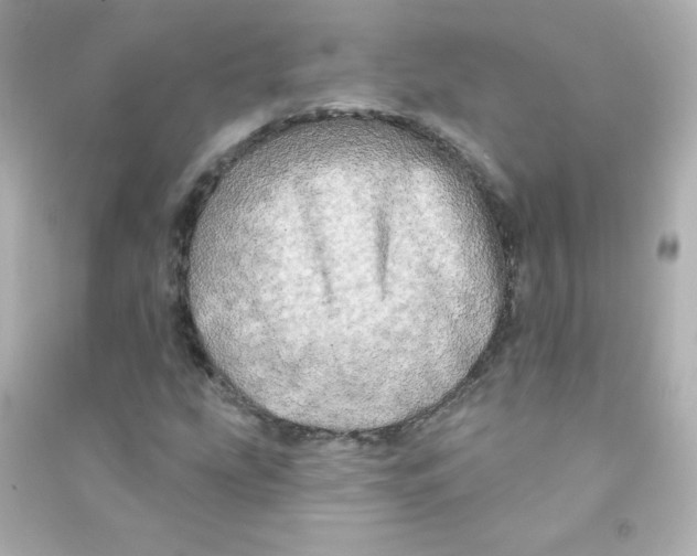 X0000090441207200708102020