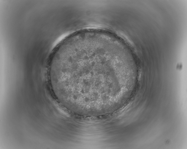 X0000090441208200708102020