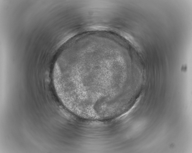 X0000090441209200708102020
