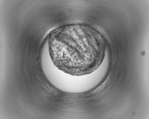 X0000090441210200708102020