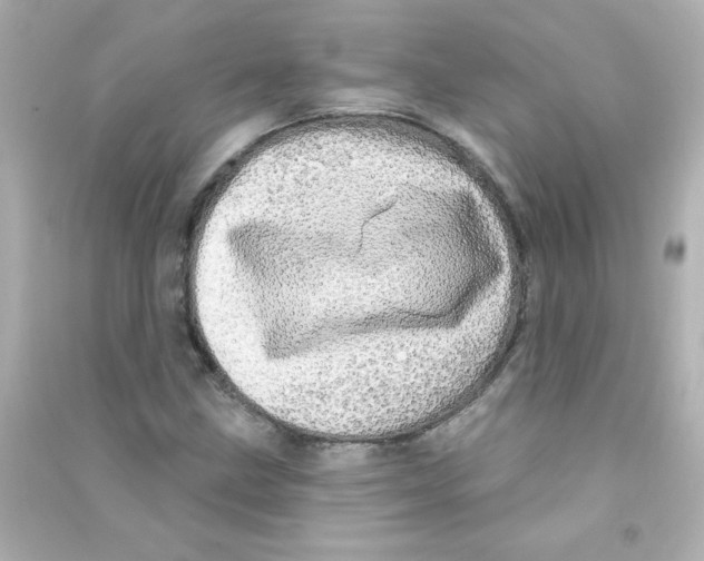X0000090441211200708102020