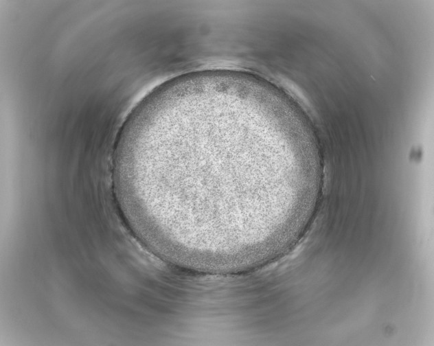 X0000090441212200708102020
