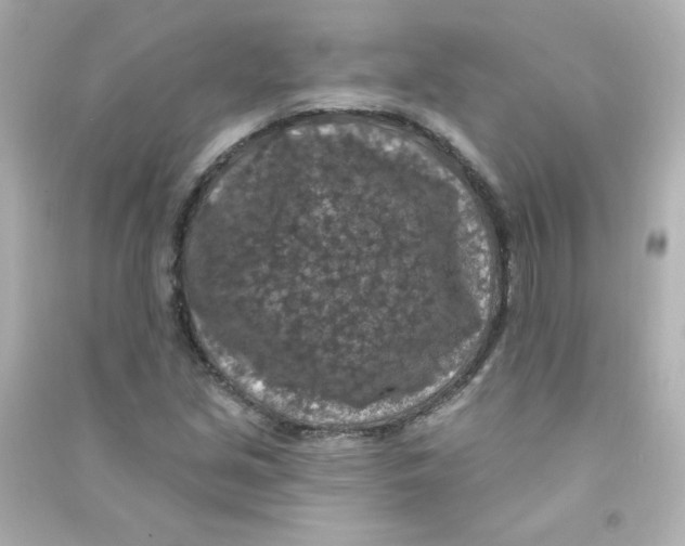 X0000090441213200708102020