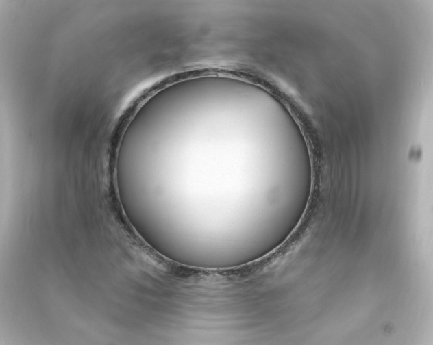 X0000090441214200708102020