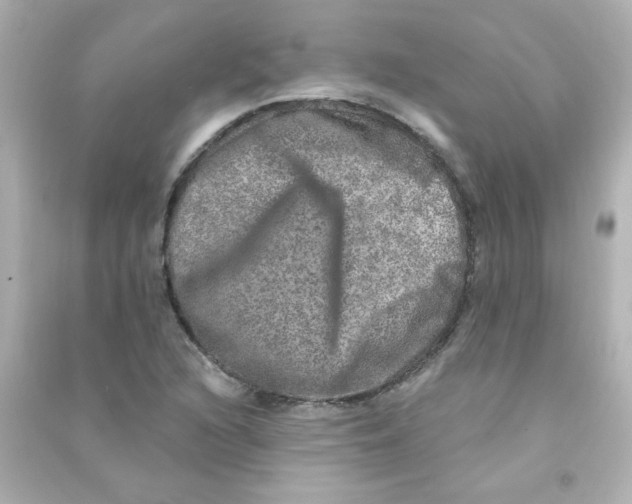 X0000090441216200708102020