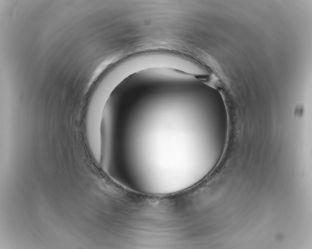 X0000090441218200708102020