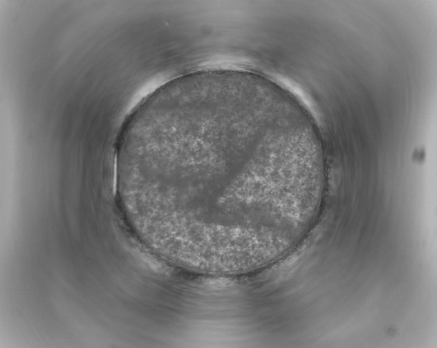 X0000090441219200708102020