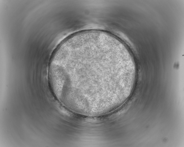 X0000090441220200708102020