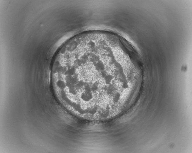 X0000090441221200708102020