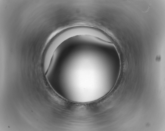 X0000090441222200708102020