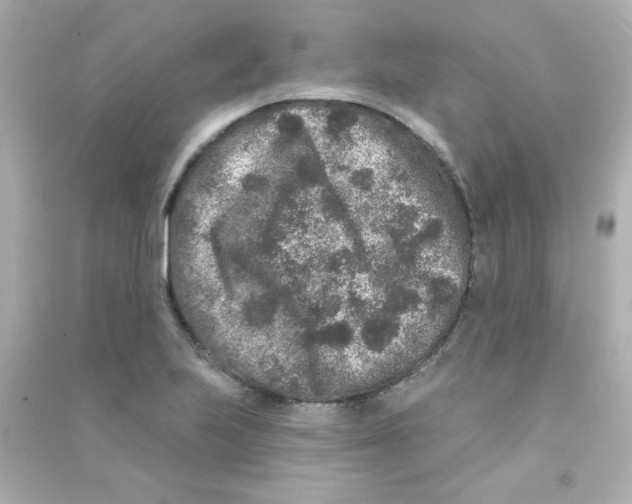X0000090441223200708102020