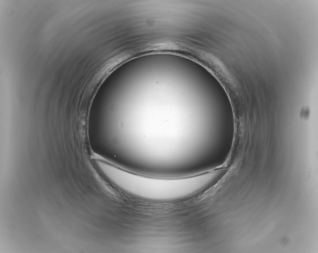 X0000090441225200708102020