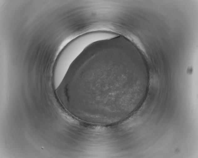 X0000090441226200708102020
